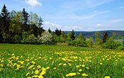 Urlaub Bayerischer Wald